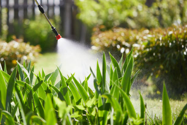 24/7 Emergency Wasp Removal experts in Dixon, IL